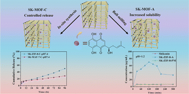 Graphical abstract: Drug release and solubility properties of two zeolitic metal–organic frameworks influenced by their hydrophobicity/hydrophilicity