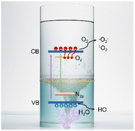 Graphical abstract: Activation of 2D titanate nanosheet photocatalysts by nitrogen doping and solution plasma processing