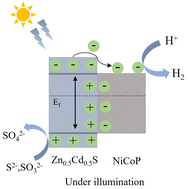 Graphical abstract: Noble metal-free bimetallic phosphide-decorated Zn0.5Cd0.5S with efficient photocatalytic H2 evolution