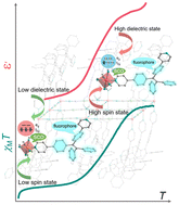 Graphical abstract: Simultaneous magneto-dielectric transitions in a fluorescent Hofmann-type coordination polymer