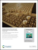 Graphical abstract: Back cover