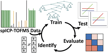 Graphical abstract: Machine learning analysis to classify nanoparticles from noisy spICP-TOFMS data