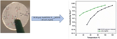 Graphical abstract: Ion conduction and phase behaviour in dual cation polyelectrolyte blends for sodium-ion batteries