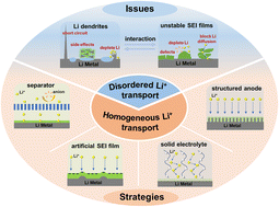 Graphical abstract: Ion modulation engineering toward stable lithium metal anodes