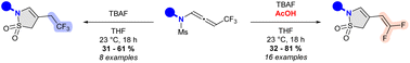 Graphical abstract: TBAF-promoted carbanion-mediated sulfonamide cyclization of CF3-substituted N-allenamides: an access to fluorinated γ-sultams