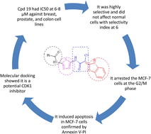 Graphical abstract: New 1,3,4-thiadiazoles as potential anticancer agents: pro-apoptotic, cell cycle arrest, molecular modelling, and ADMET profile