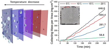 Graphical abstract: Impact of surface cooling on the water harvesting efficiency of nanostructured window glass