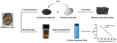 Graphical abstract: Simple fabrication of carbon quantum dots and activated carbon from waste wolfberry stems for detection and adsorption of copper ion