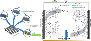 Graphical abstract: Bifunctional and regenerable molecular electrode for water electrolysis at neutral pH