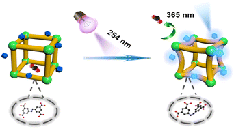 Graphical abstract: Maintaining the configuration of a light-responsive metal–organic framework: LiYGeO4:Bi3+-incorporation-induced long-term bending through short-time light irradiation