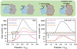 Graphical abstract: Suppressing carbon corrosion via mechanically mixing transition metal phosphide clusters: a comparative in situ study in alkaline media