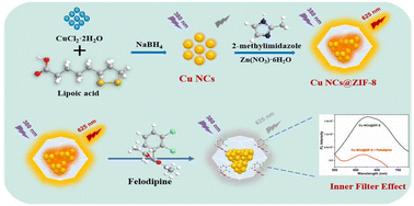 Graphical abstract: Encapsulating Cu NCs with aggregation-induced emission into metal–organic framework ZIF-8 as a novel fluorescent nanoprobe for the highly sensitive detection of felodipine