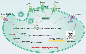 Graphical abstract: Polymeric nanoformulations aimed at cancer metabolism reprogramming with high specificity to inhibit tumor growth