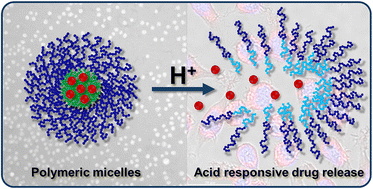 Graphical abstract: Aliphatic polycarbonates with acid degradable ketal side groups as multi-pH-responsive immunodrug nanocarriers