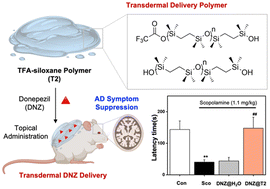 Graphical abstract: Dimethysiloxane polymer for the effective transdermal delivery of donepezil in Alzheimer's disease treatment