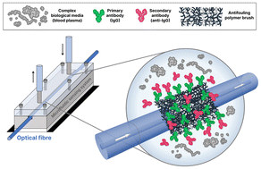 Graphical abstract: Optical fibre long-period grating sensors modified with antifouling bio-functional nano-brushes