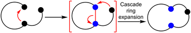 Graphical abstract: Cascade ring expansion reactions for the synthesis of medium-sized rings and macrocycles