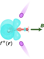 Graphical abstract: Symmetry and reactivity of π-systems in electric and magnetic fields: a perspective from conceptual DFT