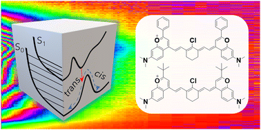 Graphical abstract: Shortwave infrared polymethine dyes for bioimaging: ultrafast relaxation dynamics and excited-state decay pathways