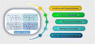 Graphical abstract: Structural features and antiproliferative activity of Pd(ii) complexes with halogenated ligands: a comparative study between Schiff base and reduced Schiff base complexes