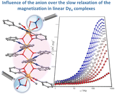 Graphical abstract: Modulating magnetic anisotropy in linear tetranuclear dysprosium(iii) complexes via coordinated anions