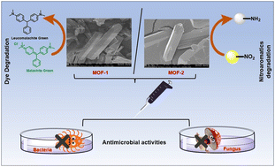 Graphical abstract: Two cobaltous PCPs: rapid catalytic degradation of POPs coupled with remarkable antibacterial and antifungal properties