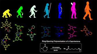 Graphical abstract: Evolution of aluminum aminophenolate complexes in the ring-opening polymerization of ε-caprolactone: electronic and amino-chelating effects