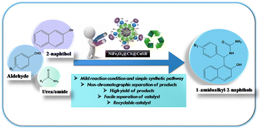 Graphical abstract: Rationally designed Cu(ii) Schiff base metal complex anchored on NiFe2O4@chitosan: an efficient heterogeneous and magnetically retrievable hybrid nanocatalyst for the one-pot multi-component synthesis of bioactive 1-amidoalkyl-2-naphthols