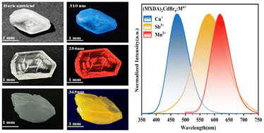 Graphical abstract: Multicolor emission from a 0D-doped hybrid halide (C8H14N2)2CdBr6 single crystal