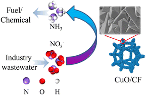 Graphical abstract: In situ reconstructed prism-like CuO on copper foam assisted by fumaric acid for an enhanced electrochemical nitrate reduction reaction