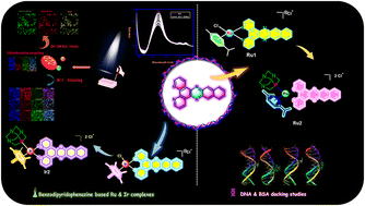 Graphical abstract: The role of ancillary ligands on benzodipyridophenazine-based Ru(ii)/Ir(iii) complexes in dark and light toxicity against TNBC cells