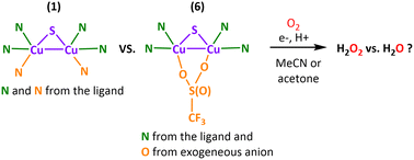 Graphical abstract: Correction: Bio-inspired copper complexes with Cu2S cores: (solvent) effects on oxygen reduction reactions