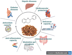 Graphical abstract: Bioactive compounds of peanut skin in prevention and adjunctive treatment of chronic non-communicable diseases