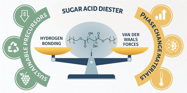 Graphical abstract: Biomass-derived polyol esters as sustainable phase change materials for renewable energy storage