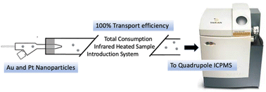 Graphical abstract: Towards the best total consumption infrared-heated sample introduction system for nanoparticle measurement using single particle inductively coupled plasma mass spectrometry