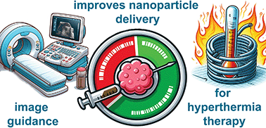 Graphical abstract: Improved tumour delivery of iron oxide nanoparticles for magnetic hyperthermia therapy of melanoma via ultrasound guidance and 111In SPECT quantification