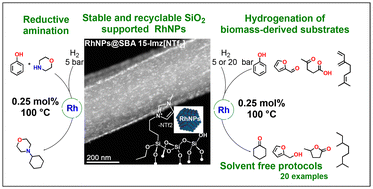 Graphical abstract: Biomass-derived substrate hydrogenation over rhodium nanoparticles supported on functionalized mesoporous silica