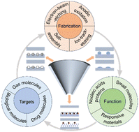 Graphical abstract: Bioinspired solid-state nanochannels for molecular analysis