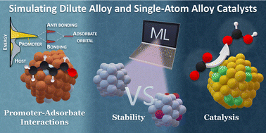 Graphical abstract: Advances in simulating dilute alloy nanoparticles for catalysis