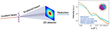 Graphical abstract: Small-angle neutron scattering differentiates molecular-level structural models of nanoparticle interfaces