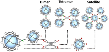 Graphical abstract: Giant oligomeric porous cage-based molecules