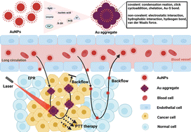 Graphical abstract: Aggregable gold nanoparticles for cancer photothermal therapy