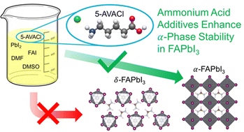 Graphical abstract: Enhanced α-phase stability of formamidinium lead iodide with addition of 5-ammonium valeric acid chloride