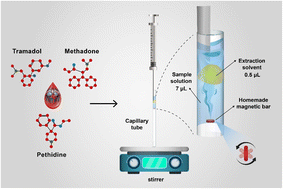 Graphical abstract: Trace analysis of basic drugs in micro-volume human plasma samples using a simple device combined with a gas chromatography-flame ionization detector