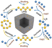 Graphical abstract: Ultrafine cobalt nanoparticle-decorated carbon submicron-cubes enhance polysulfide trapping and redox kinetics in lithium–sulfur batteries