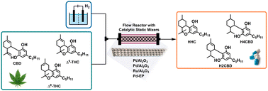 Graphical abstract: Catalytic static mixers enable the continuous hydrogenation of cannabidiol and tetrahydrocannabinol
