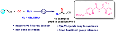 Graphical abstract: N,N,N-Tridentate ligand promoted cobalt-catalyzed direct carbonylation of chloroacetonitrile to 2-cyano substituted acetates and amides