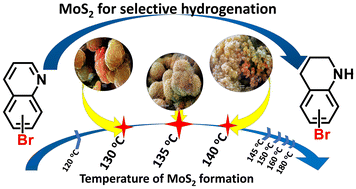 Graphical abstract: Influence of formation temperature on the morphology of MoS2 and its catalytic properties in the hydrogenation of isomeric bromoquinolines to bromo-1,2,3,4-tetrahydroquinolines
