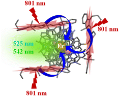 Graphical abstract: Self-assembled multidye-sensitized erbium single molecules for boosting energy transfer light upconversion in solution