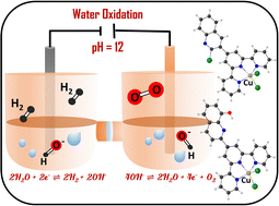 Graphical abstract: Electrochemical water oxidation using single-site Cu(ii) molecular complexes: a mechanism elucidated by computational studies